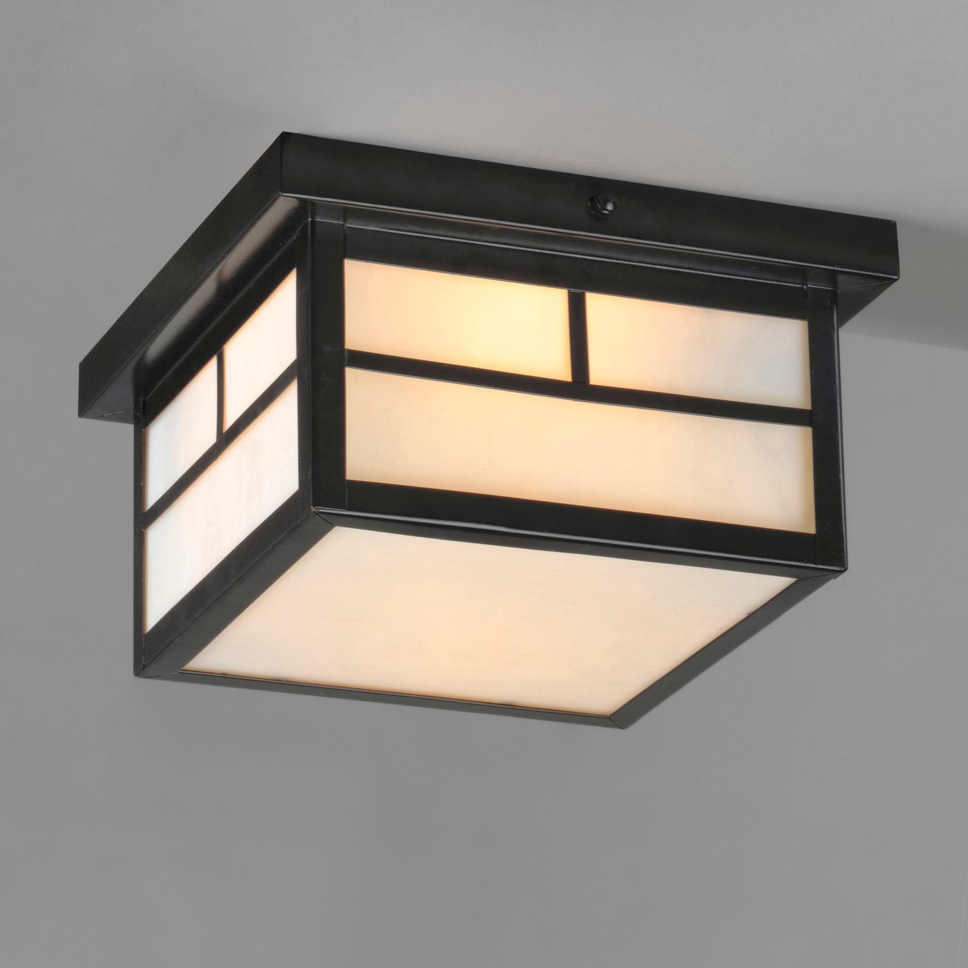 Coldwater 2-Light Outdoor Ceiling Mount Black by Maxim Lighting