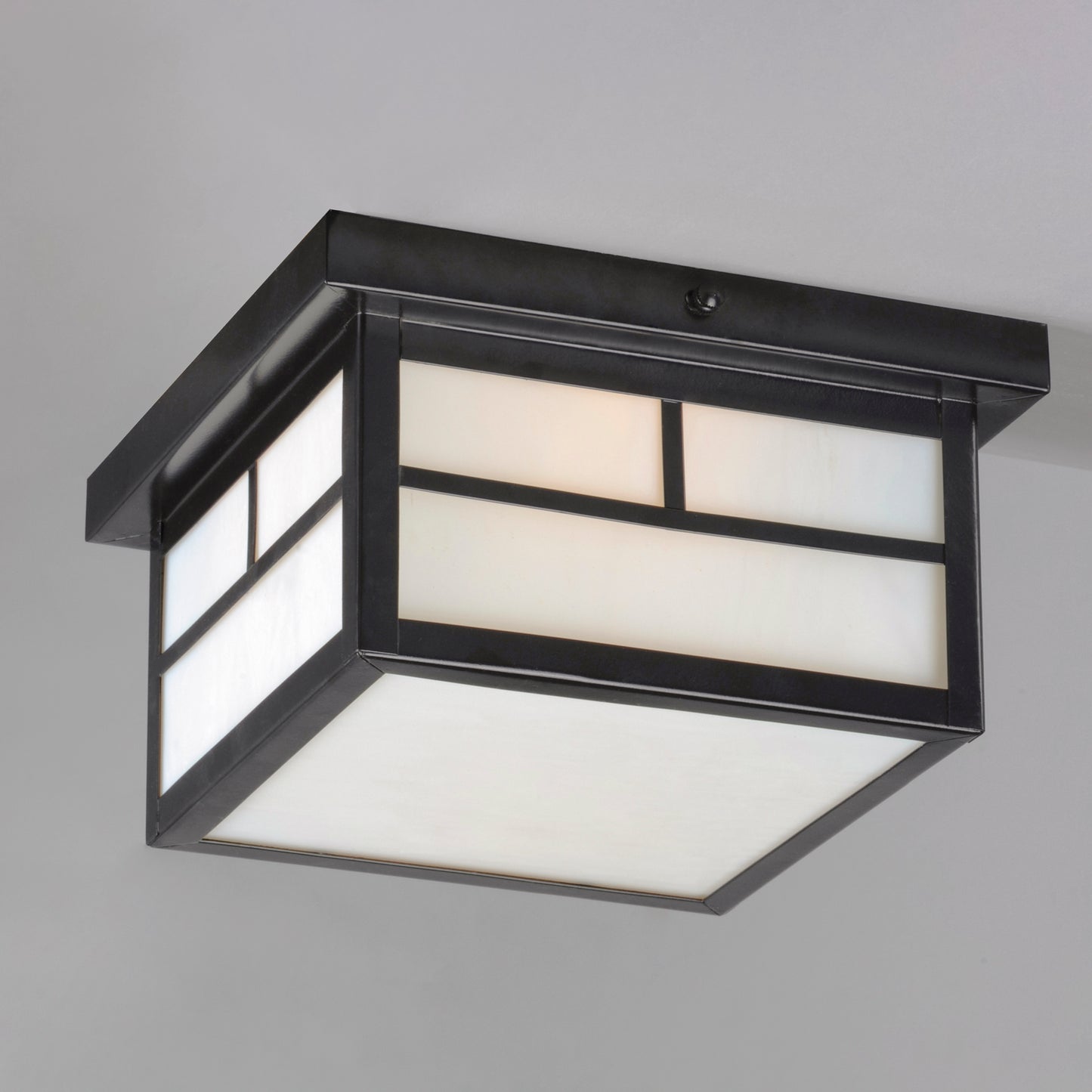 Coldwater 2-Light Outdoor Ceiling Mount Black by Maxim Lighting