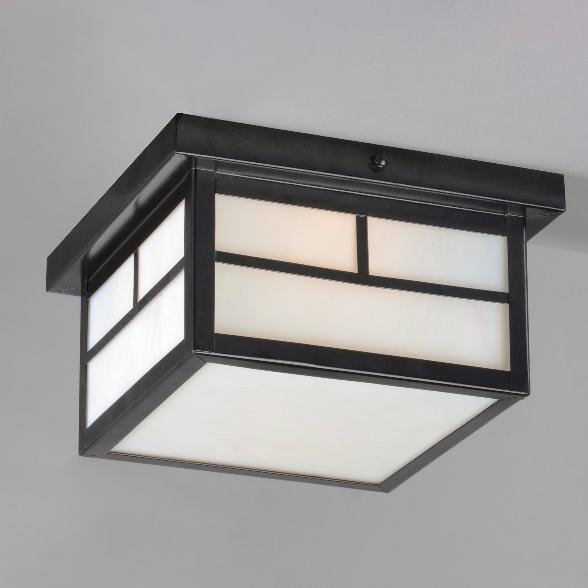 Coldwater 2-Light Outdoor Ceiling Mount Black by Maxim Lighting