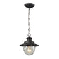 Searsport 8" Outdoor Pendant Weathered Charcoal by Elk