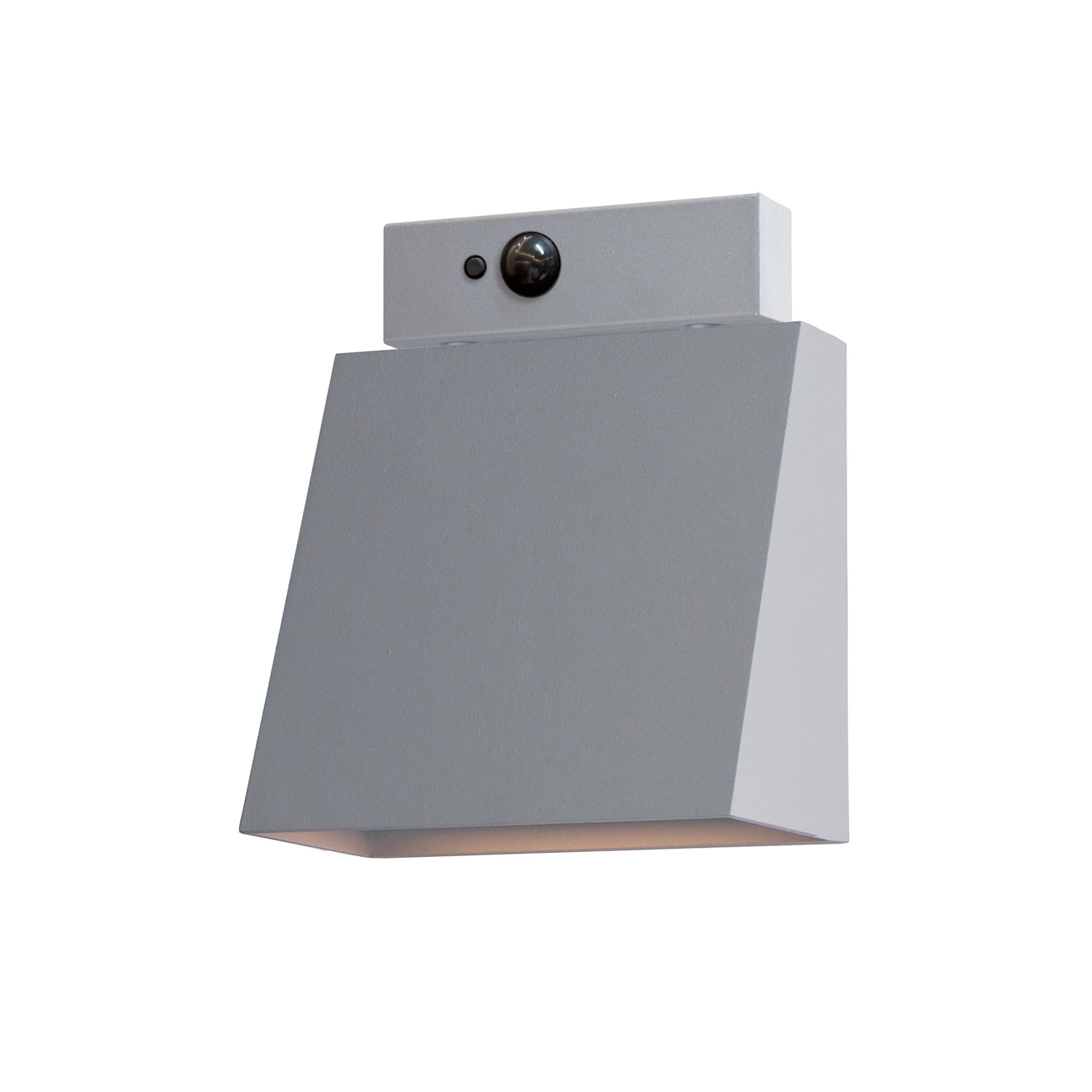 Pathfinder LED Outdoor Sconce with MSP Silver by Maxim Lighting