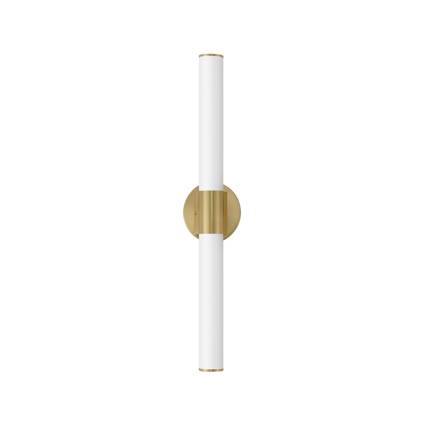 Tubo 30" LED Bath Vanity Natural Aged Brass by Maxim Lighting