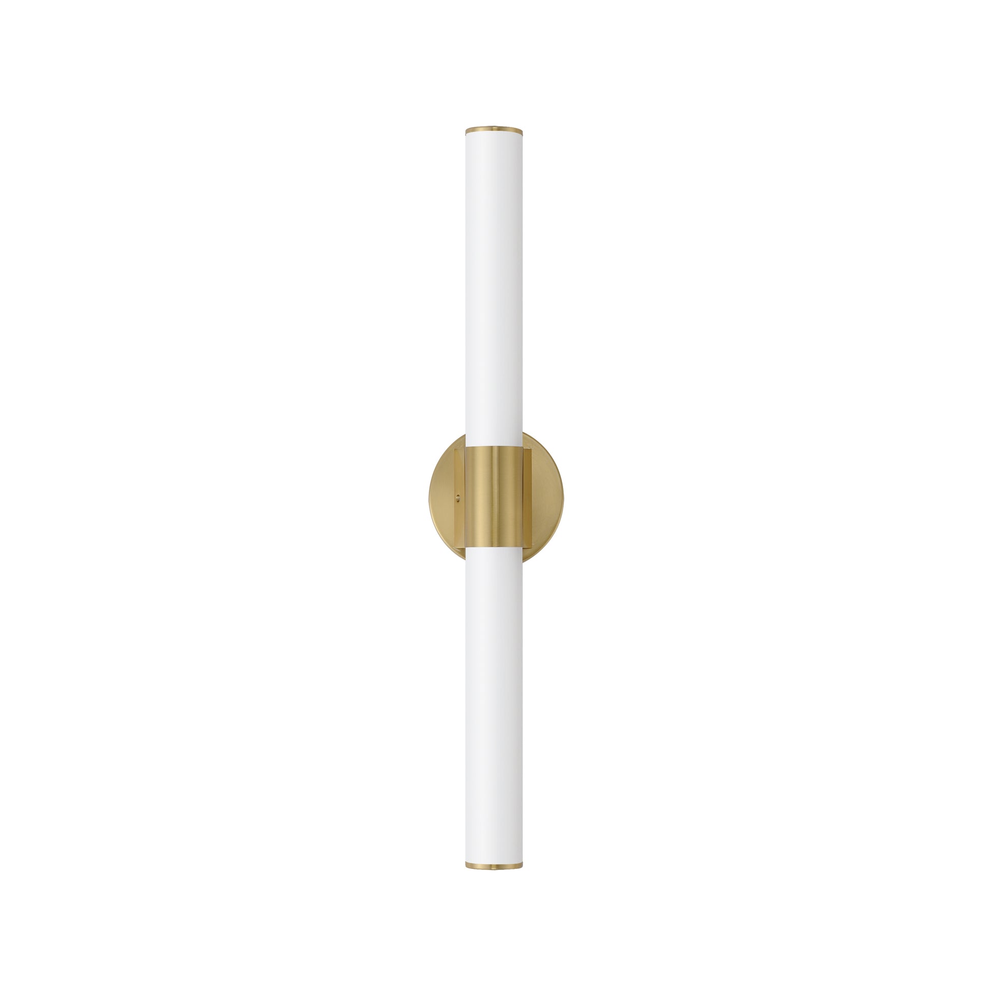 Tubo 30" LED Bath Vanity Natural Aged Brass by Maxim Lighting