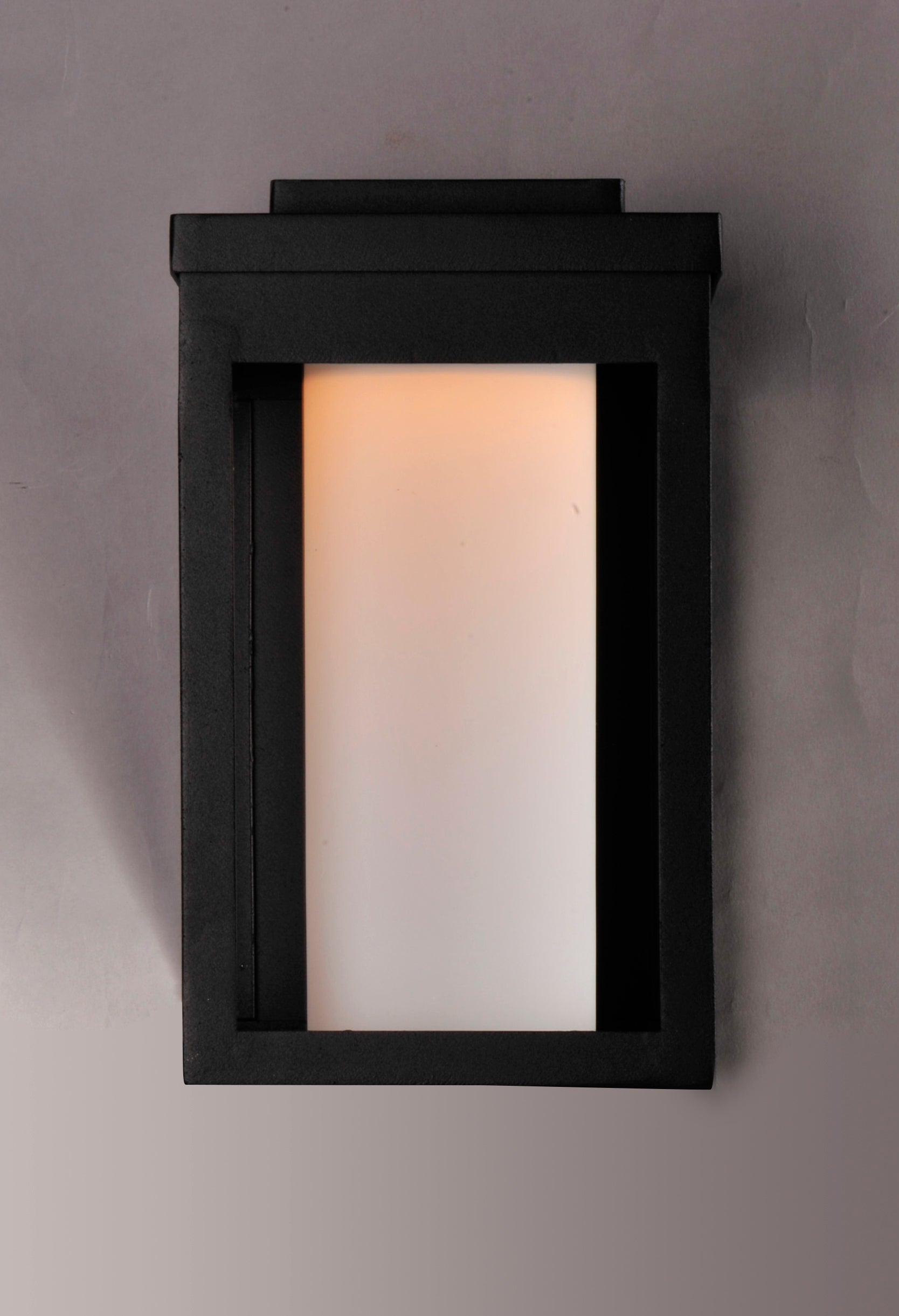 Salon Outdoor LED Wall Sconce Black by Maxim Lighting