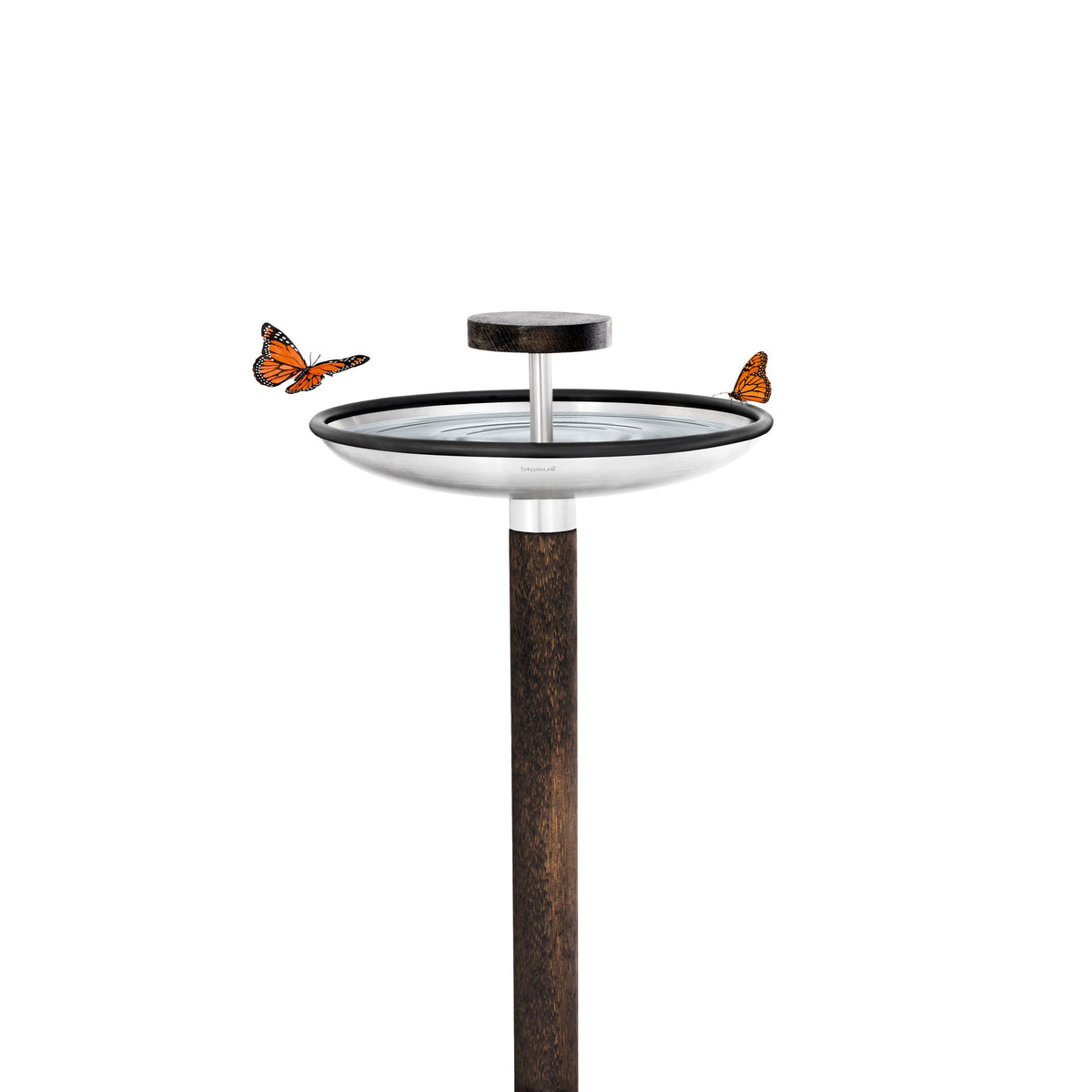 blomus FEURA Bird Feeder & Bird Bath, Stainless Steel – FEURA bird feeder and bath on a terrace (1)