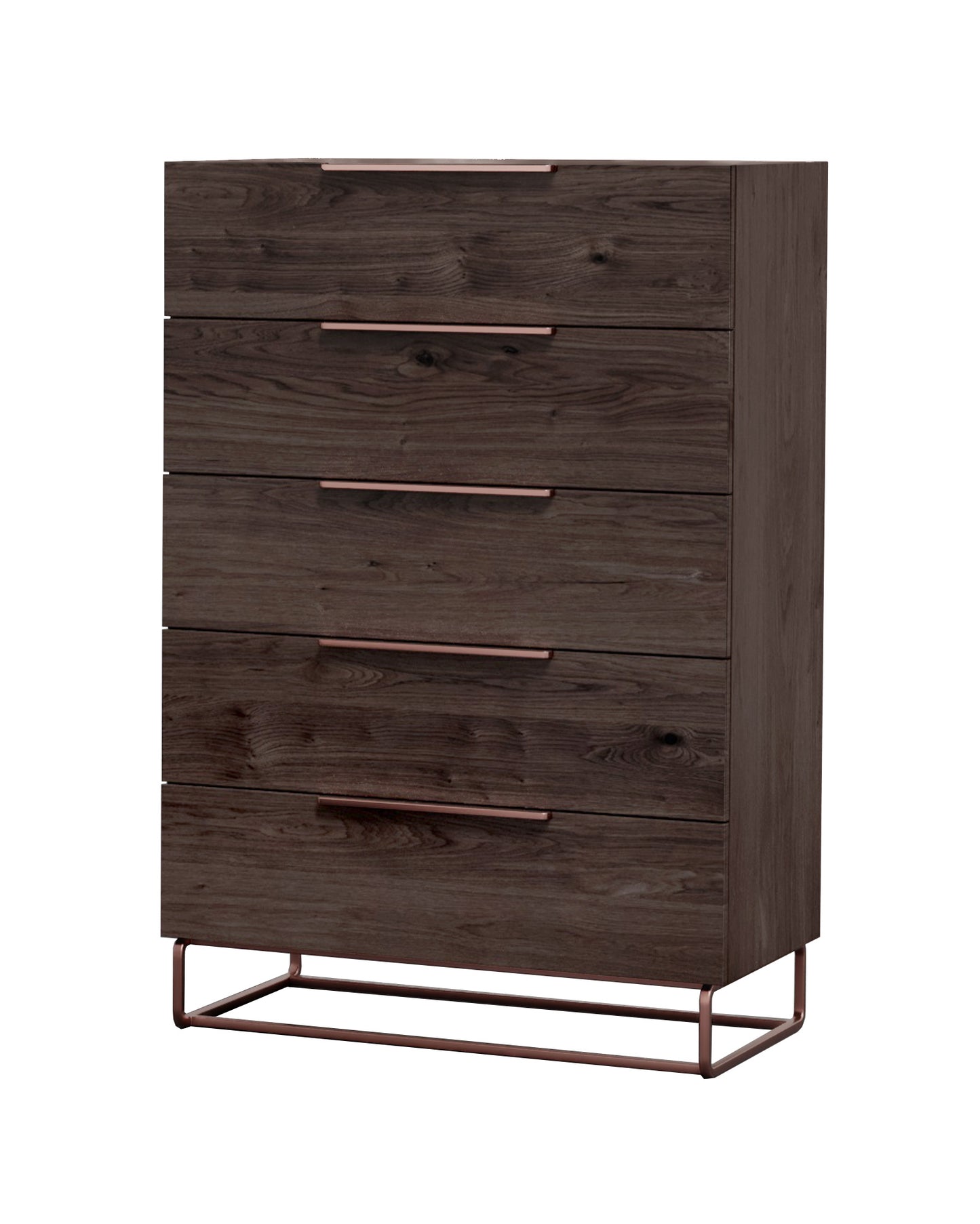 Nova Domus Benzon Modern Dark Rovere Chest