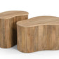 Modern Matador Modern Travertine Marble and Wood Freeform Coffee Table Set