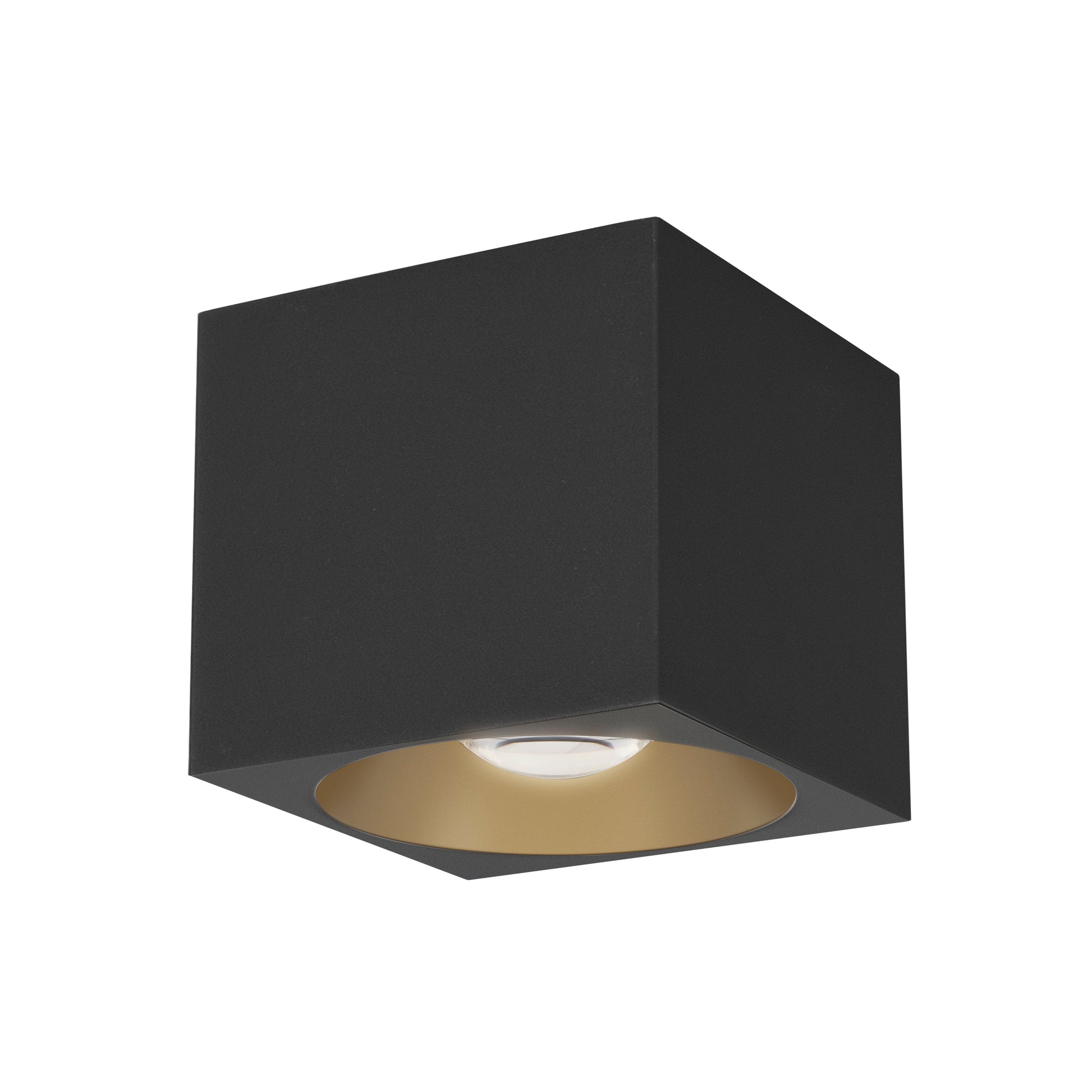 Stout 120-277V Indoor/Outdoor Flush Mount Black by Maxim Lighting