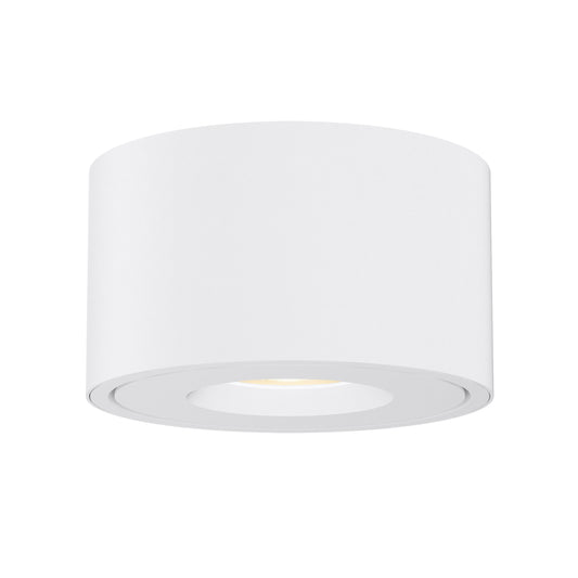 Fulcrum LED Flush Mount w Gimbal White by Maxim Lighting
