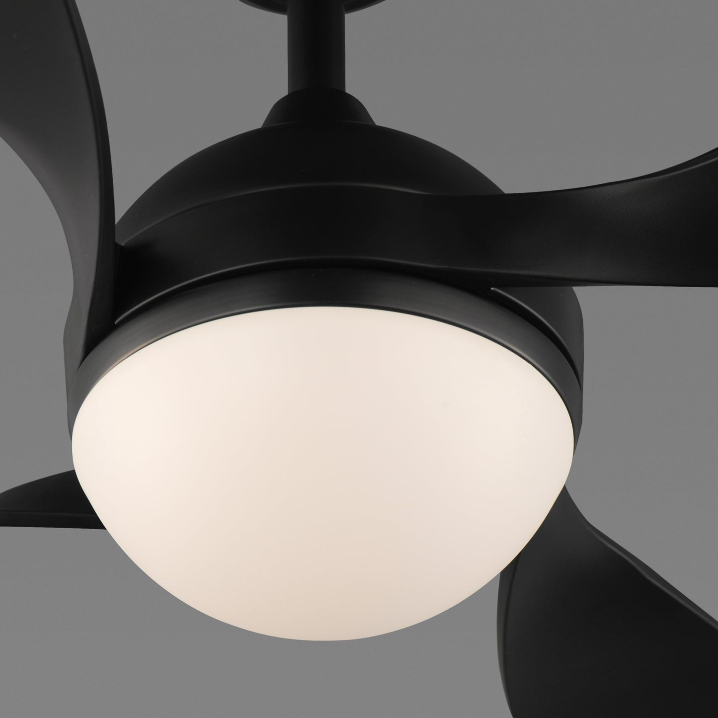 Bola 52" Indoor Fan w LED Light Kit Black by Maxim Lighting