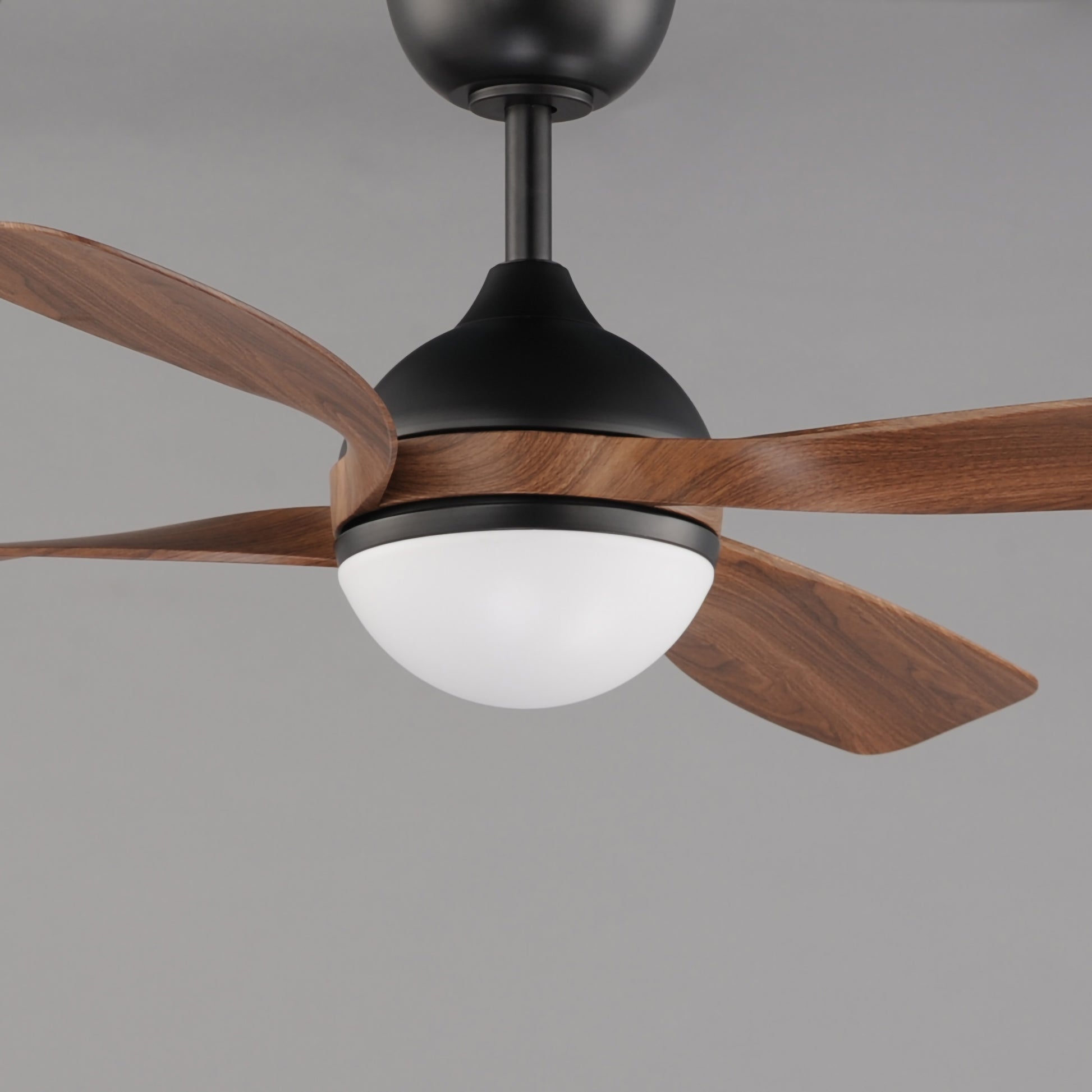 Bola 52" Indoor Fan w LED Light Kit Walnut/Black by Maxim Lighting