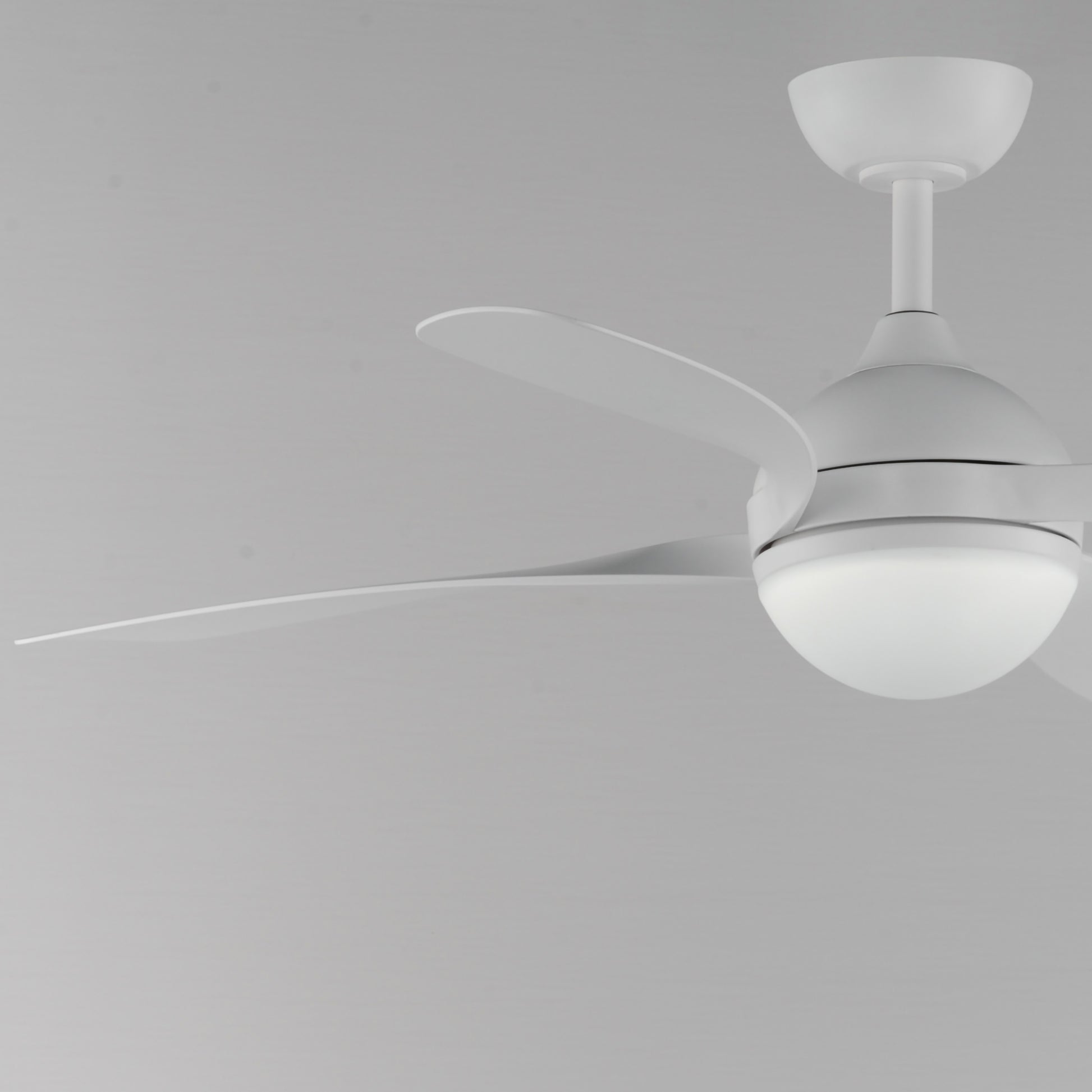Bola 52" Indoor Fan w LED Light Kit White by Maxim Lighting