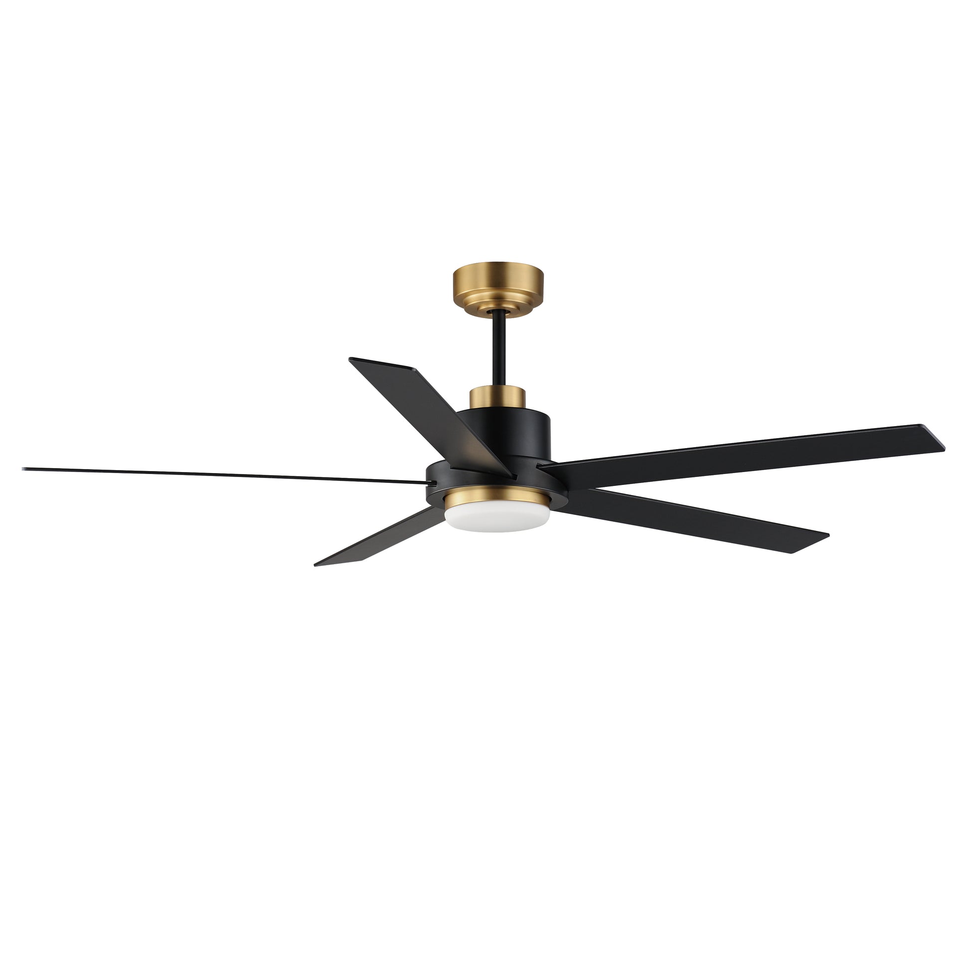 Daisy 60" 5-Blade Fan w LED Light Kit Black/Gold by Maxim Lighting