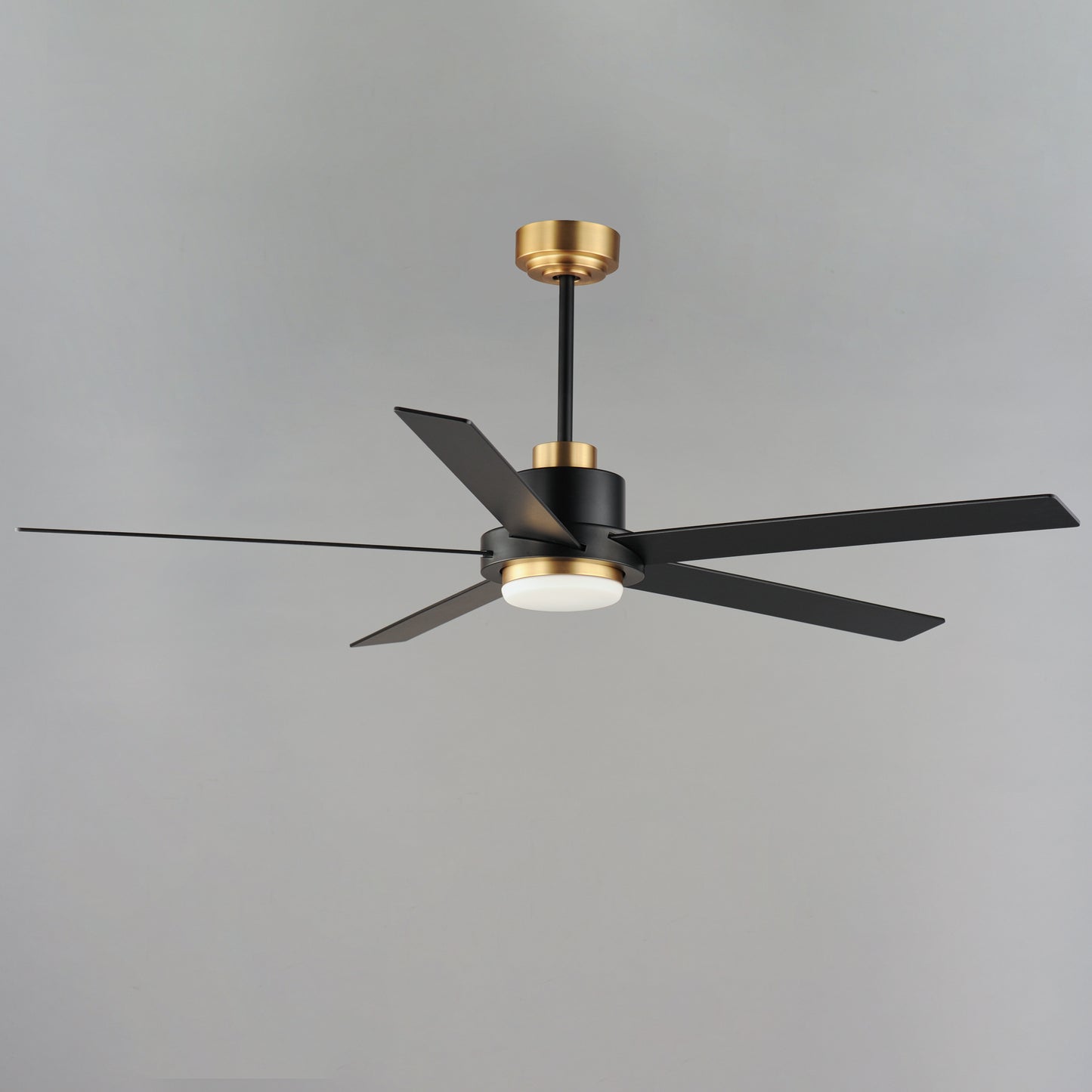 Daisy 60" 5-Blade Fan w LED Light Kit Black/Gold by Maxim Lighting