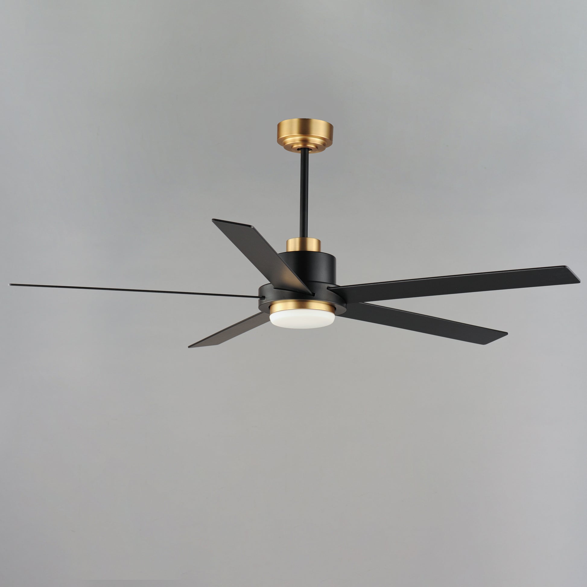 Daisy 60" 5-Blade Fan w LED Light Kit Black/Gold by Maxim Lighting