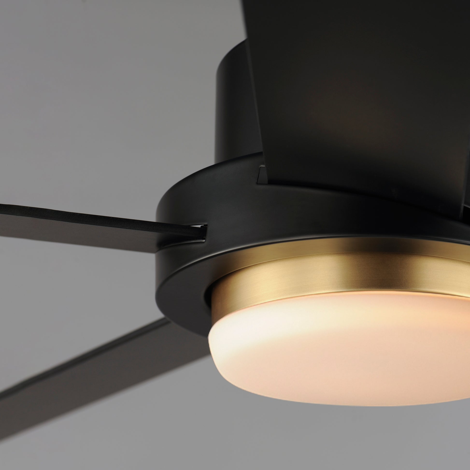 Daisy 60" 5-Blade Fan w LED Light Kit Black/Gold by Maxim Lighting