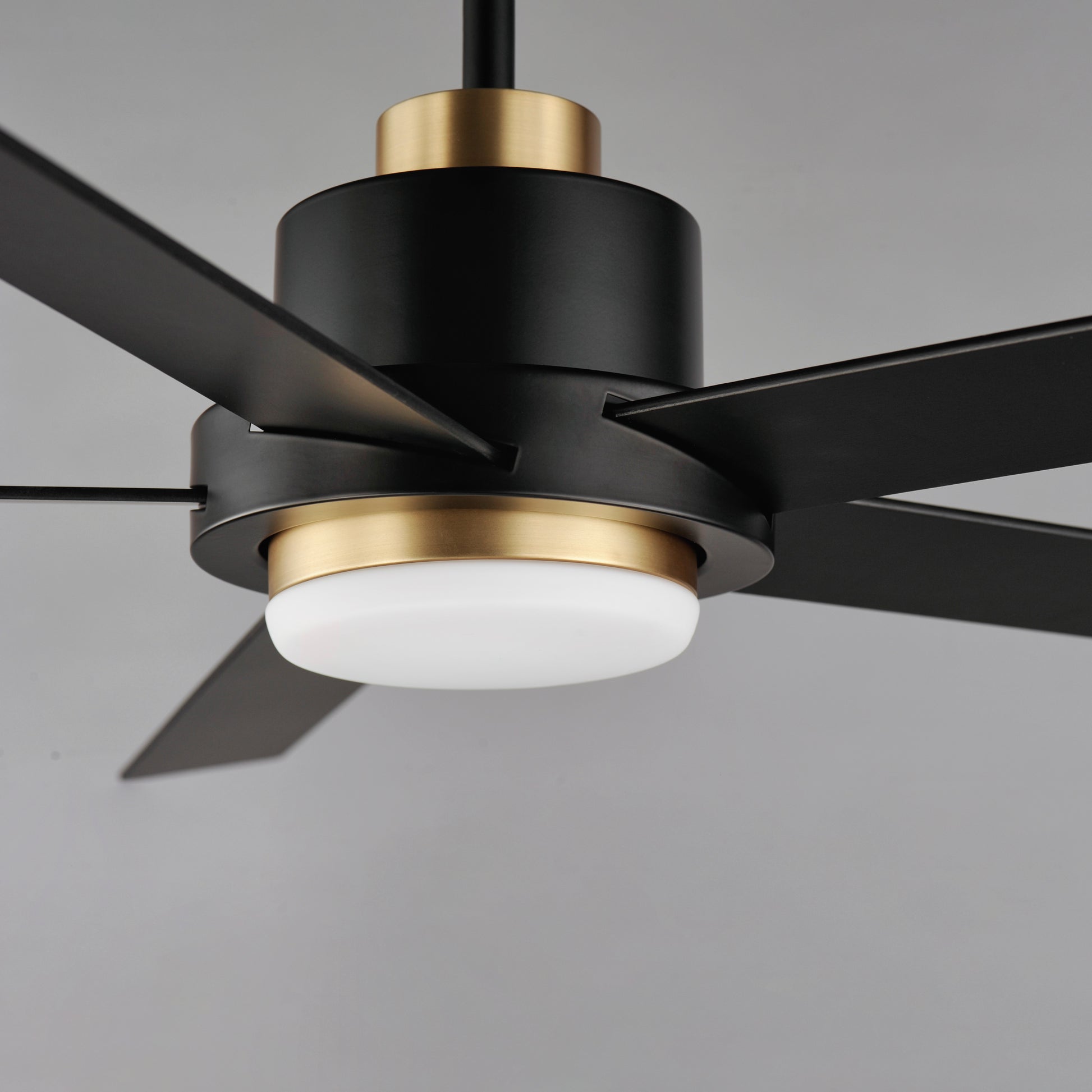 Daisy 60" 5-Blade Fan w LED Light Kit Black/Gold by Maxim Lighting