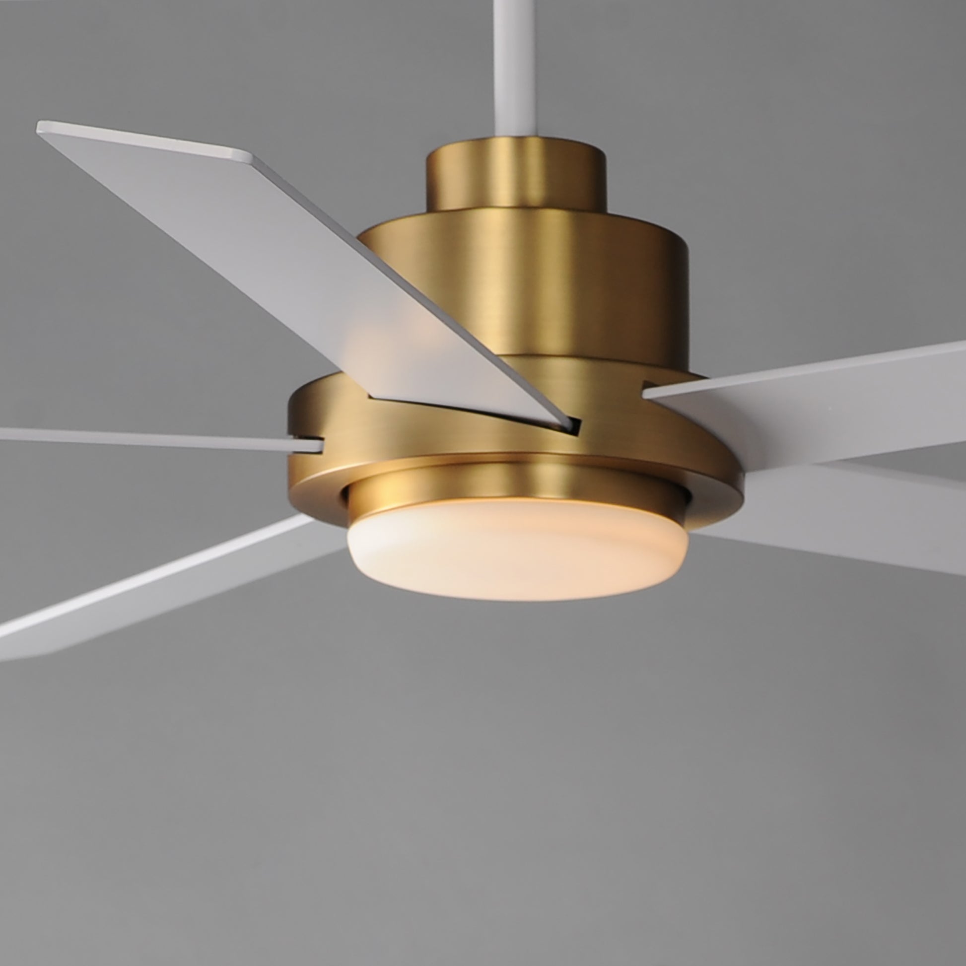 Daisy 60" 5-Blade Fan w LED Light Kit Natural Aged Brass by Maxim Lighting