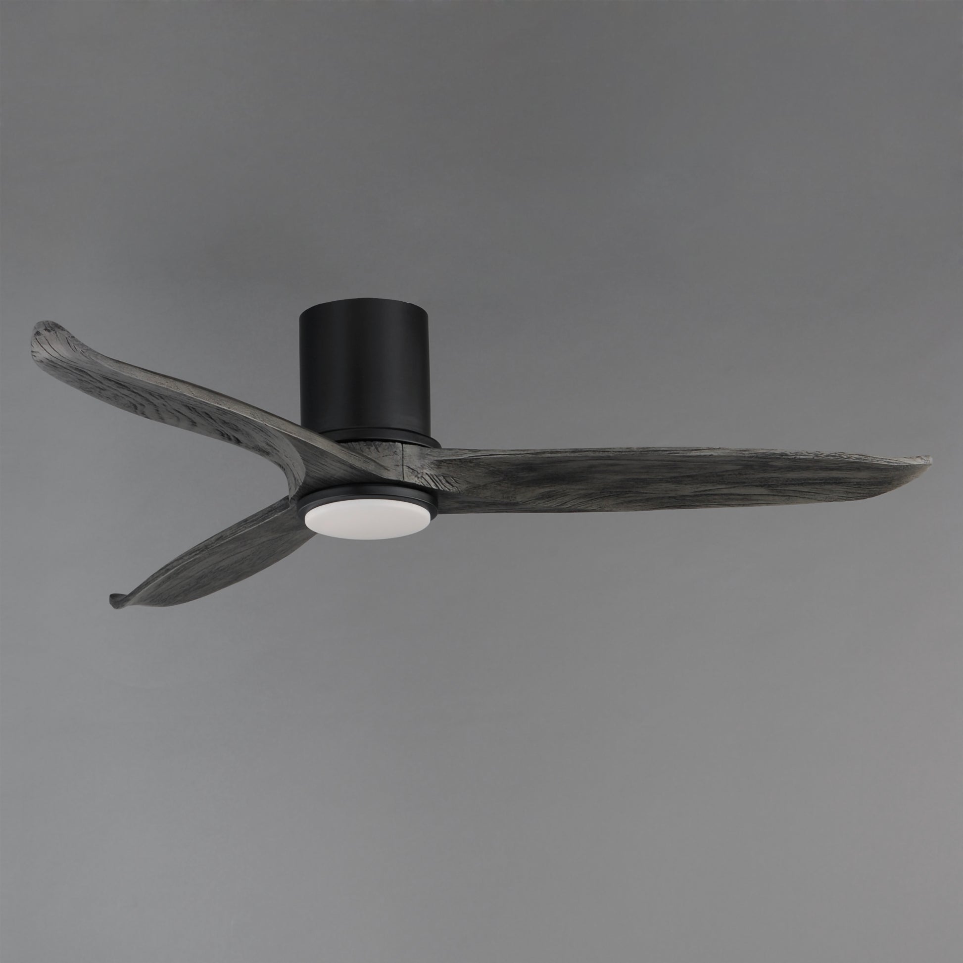 Woodwind 52" Solid Wood Blade Hugger Fan w LED Black by Maxim Lighting