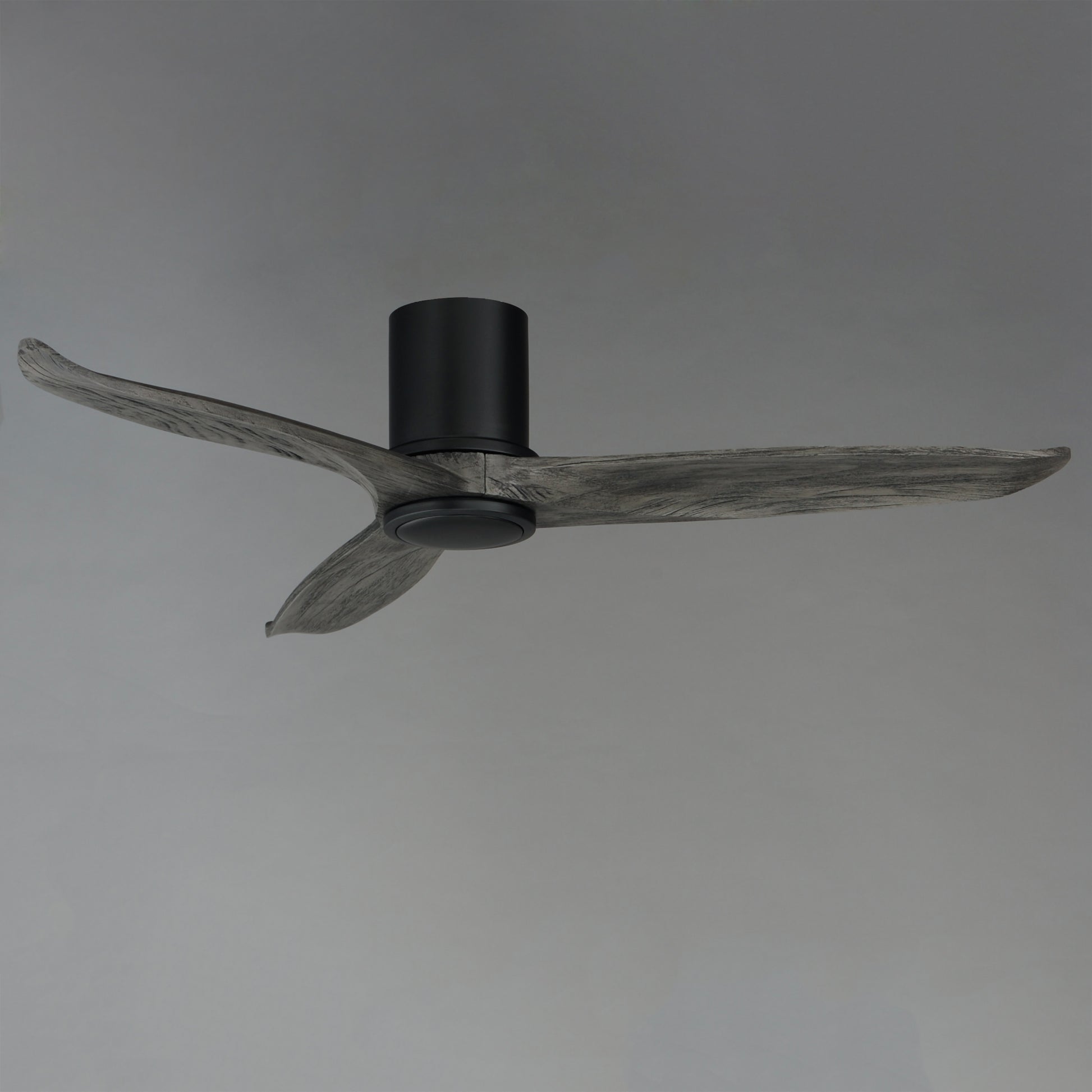 Woodwind 52" Solid Wood Blade Hugger Fan w LED Black by Maxim Lighting