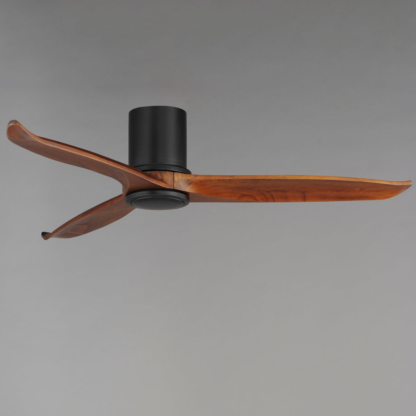 Woodwind 52" Solid Wood Blade Hugger Fan w LED Black by Maxim Lighting