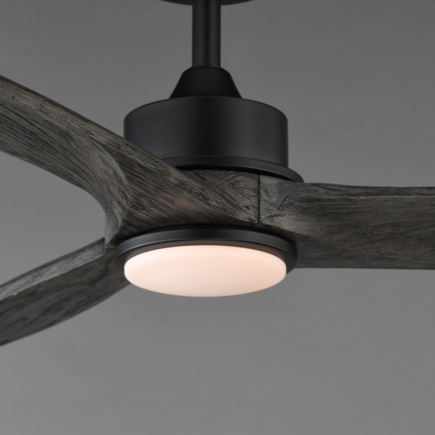 Woodwind 52" Solid Wood Blade Fan w LED Light Kit Black by Maxim Lighting