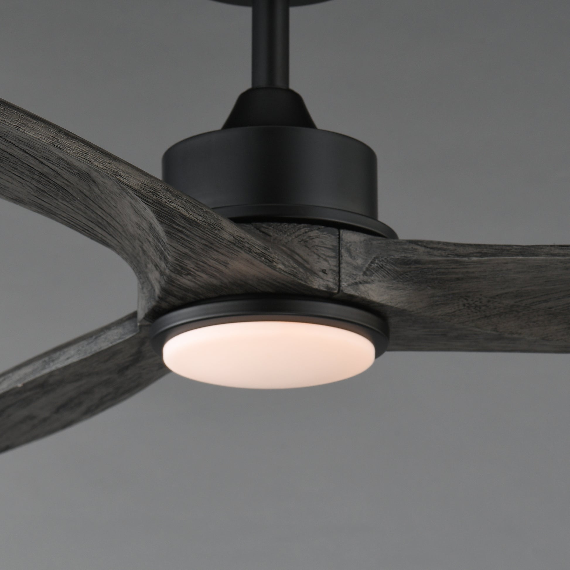 Woodwind 52" Solid Wood Blade Fan w LED Light Kit Black by Maxim Lighting