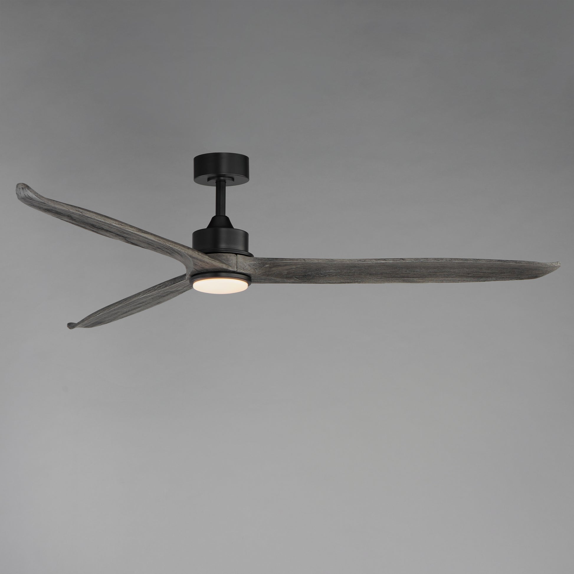 Woodwind 72" Solid Wood Blade Fan w LED Black by Maxim Lighting