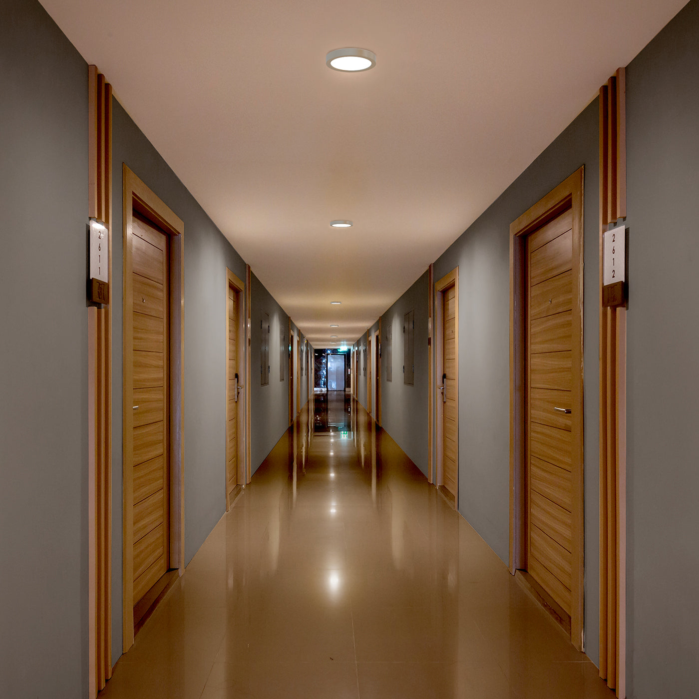 BlackJack Lighting A5 Disk Wall Light