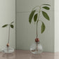 blomus Avo Avocado Starter Vase Small