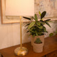 Alexis Cordless Table Lamp - Antique Brass with Linen Shade by Modern Lantern