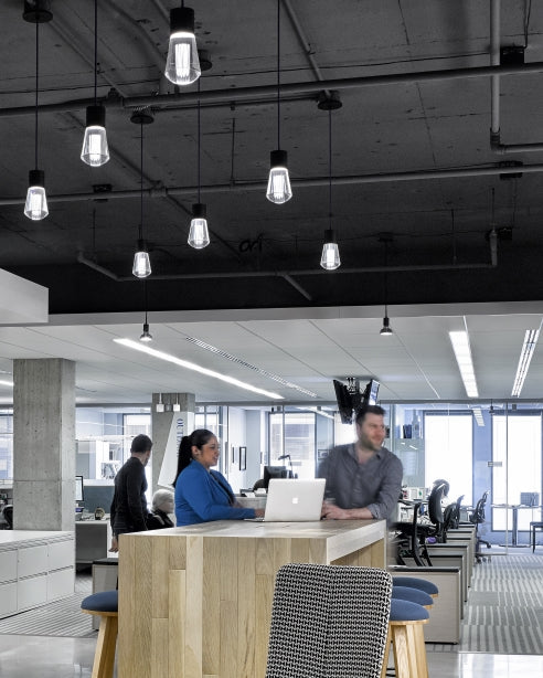 Alva LED Pendant Crystal Light by Visual & Comfort & Co