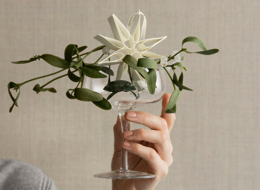 blomus BELO Champagne Coupes 6.8 oz, Set of 2 – clear champagne coupe held in hand with a paper star