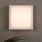 Boxie Large LED Outdoor Wall Ceiling by Visual & Comfort & Co