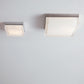 Boxie Large LED Outdoor Wall Ceiling by Visual & Comfort & Co