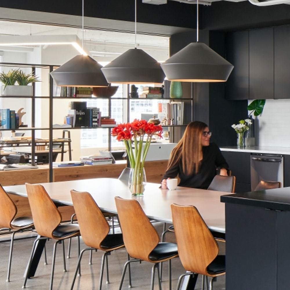 Brummel 700Tdbmlg Grande Classic Pendant Light by Visual & Comfort & Co