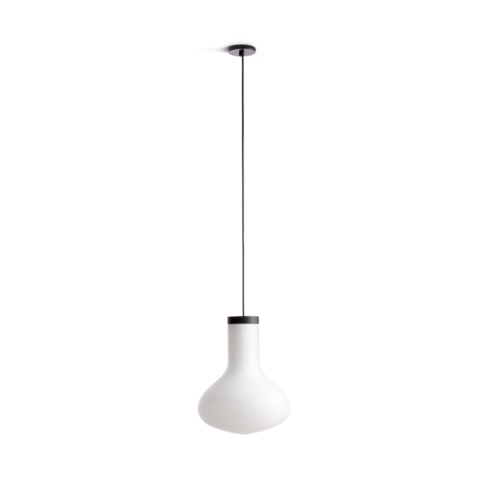 Carpyen Lighting Bulb Pendant Light