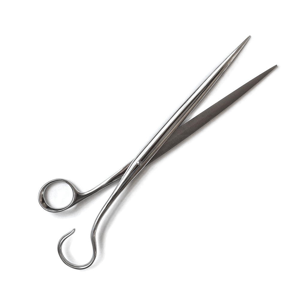 Antonia Campi Neto Scissors by IC Design, large size (photo 4 of 4)