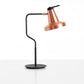 Carpyen Lighting Garcon Table Lamp