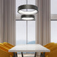 BlackJack Lighting Circuit Pendant Light
