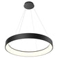 BlackJack Lighting Circuit Pendant Light