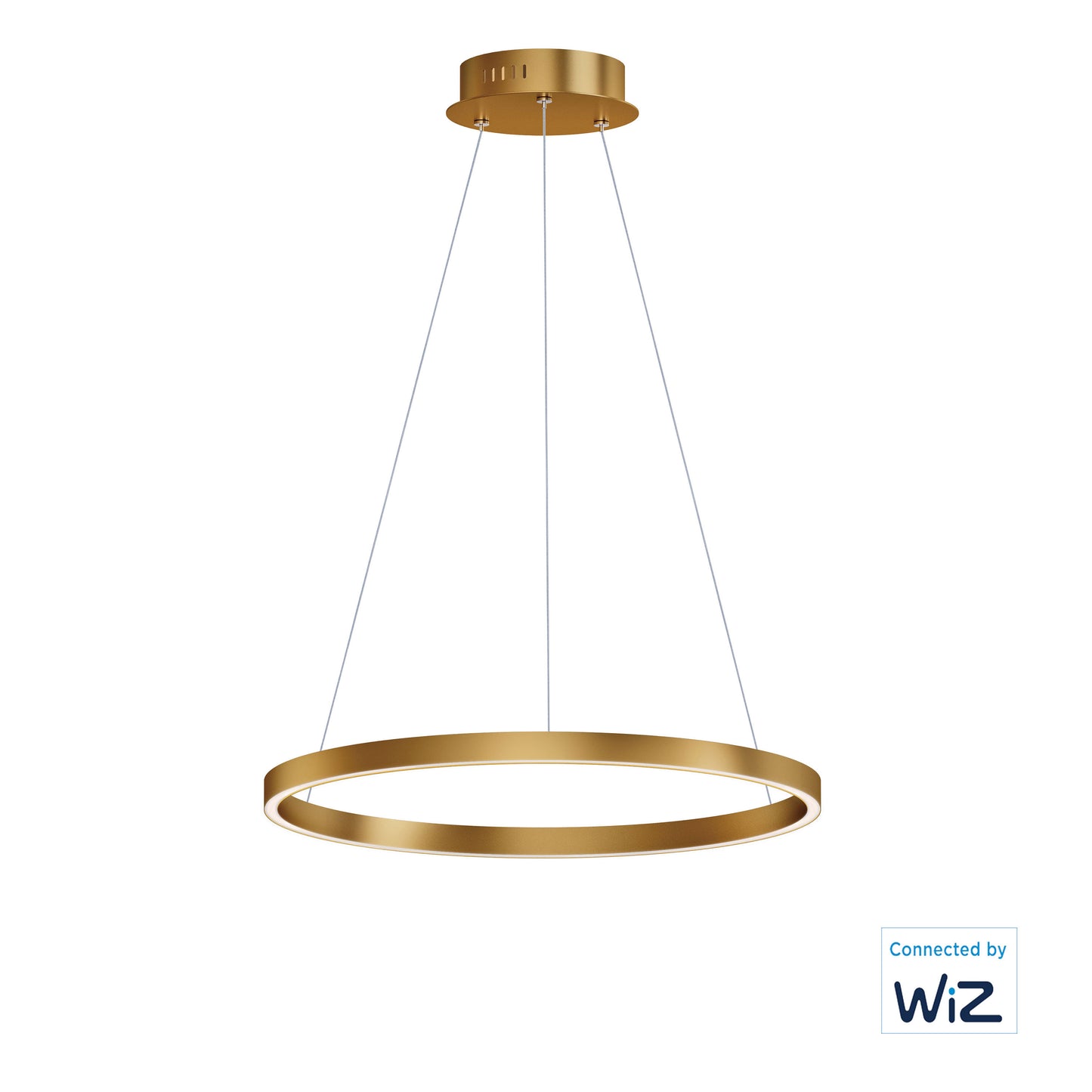 Groove 24" LED Pendant WiZ Gold by ET2