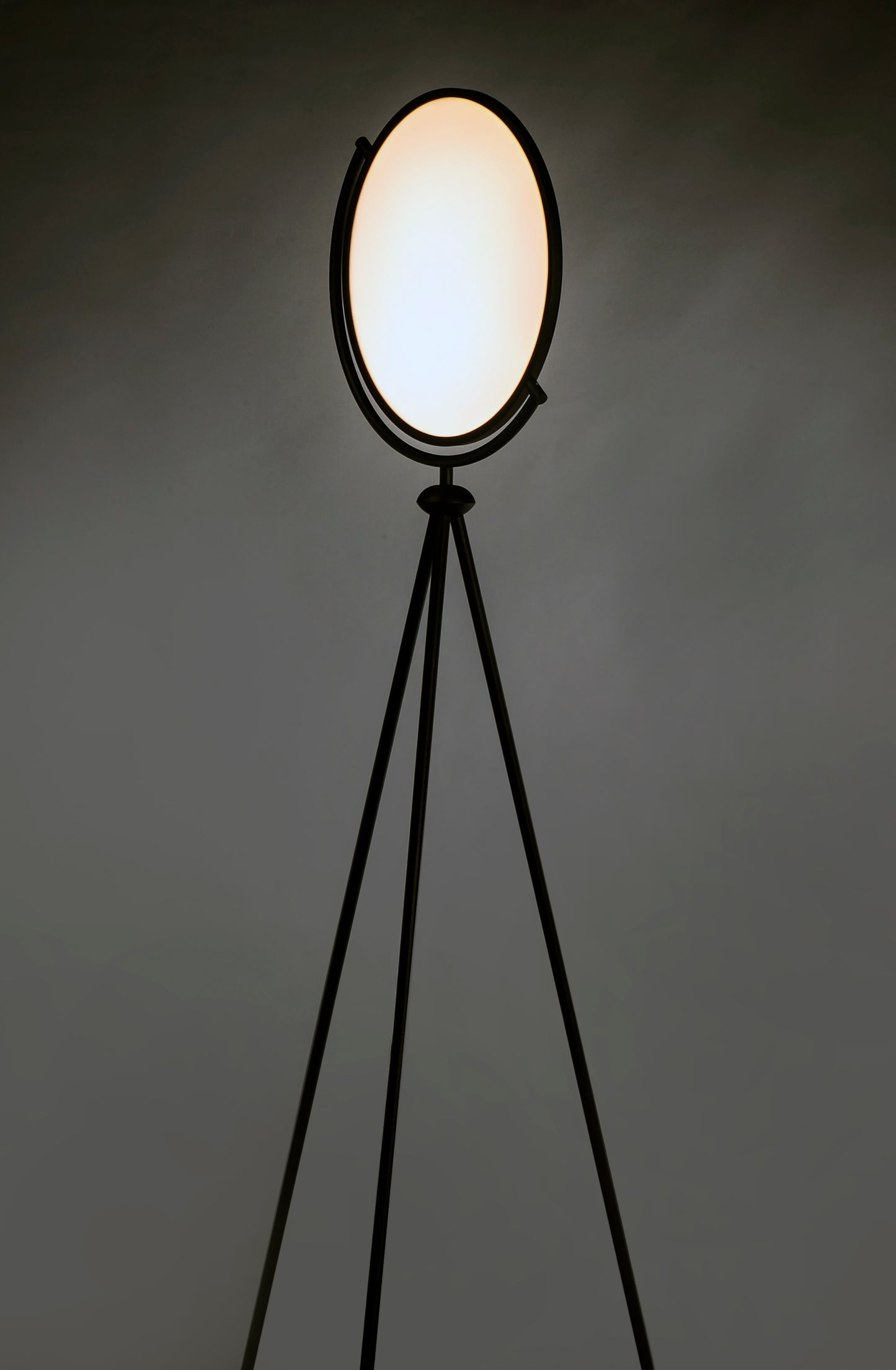 Paddle LED Floor Lamp Black by ET2