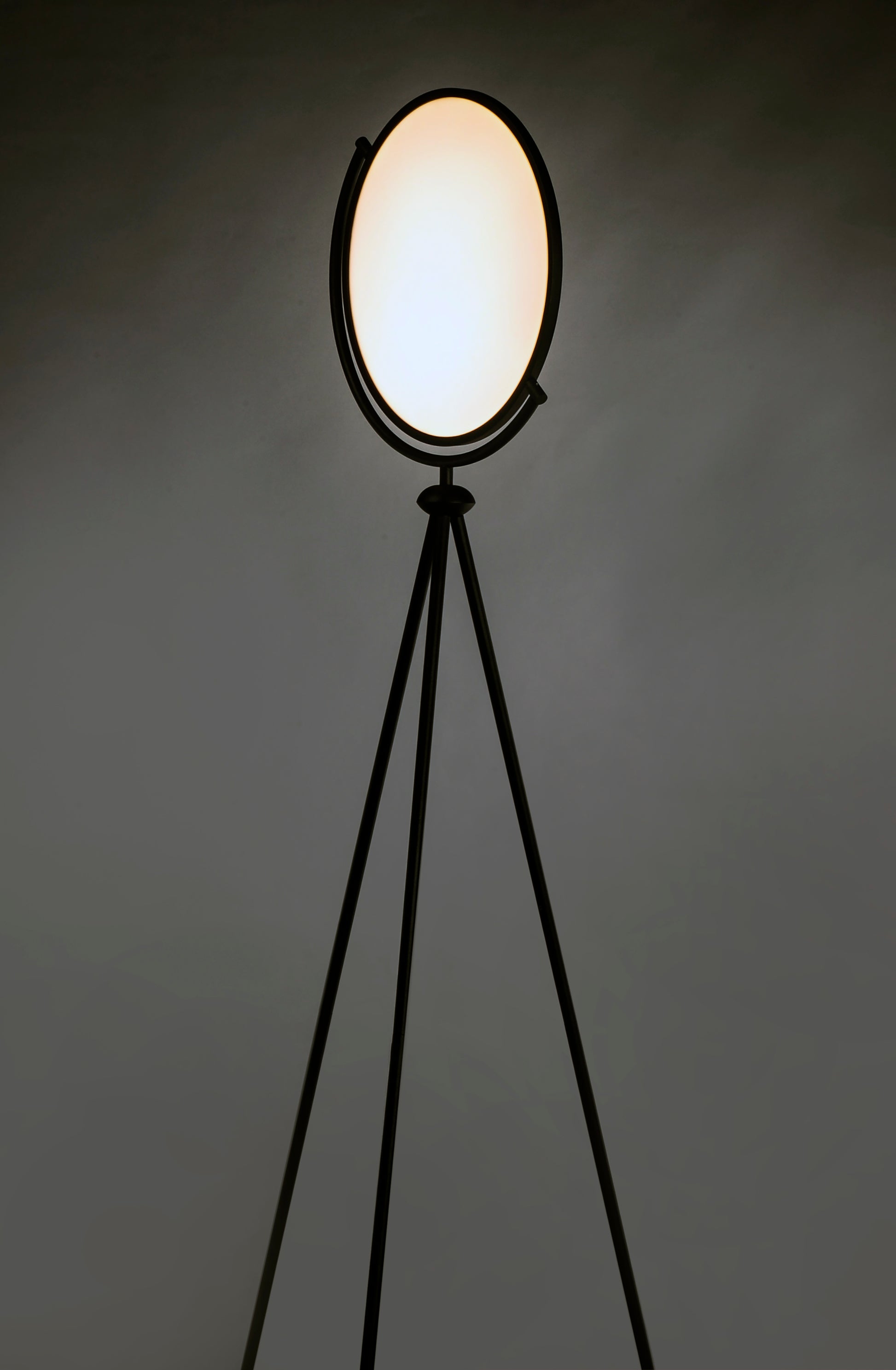 Paddle LED Floor Lamp Black by ET2