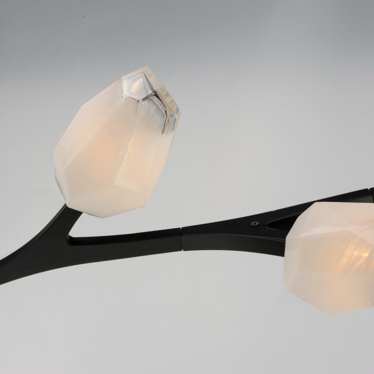 Blossom 10-Light LED Pendant Black by ET2