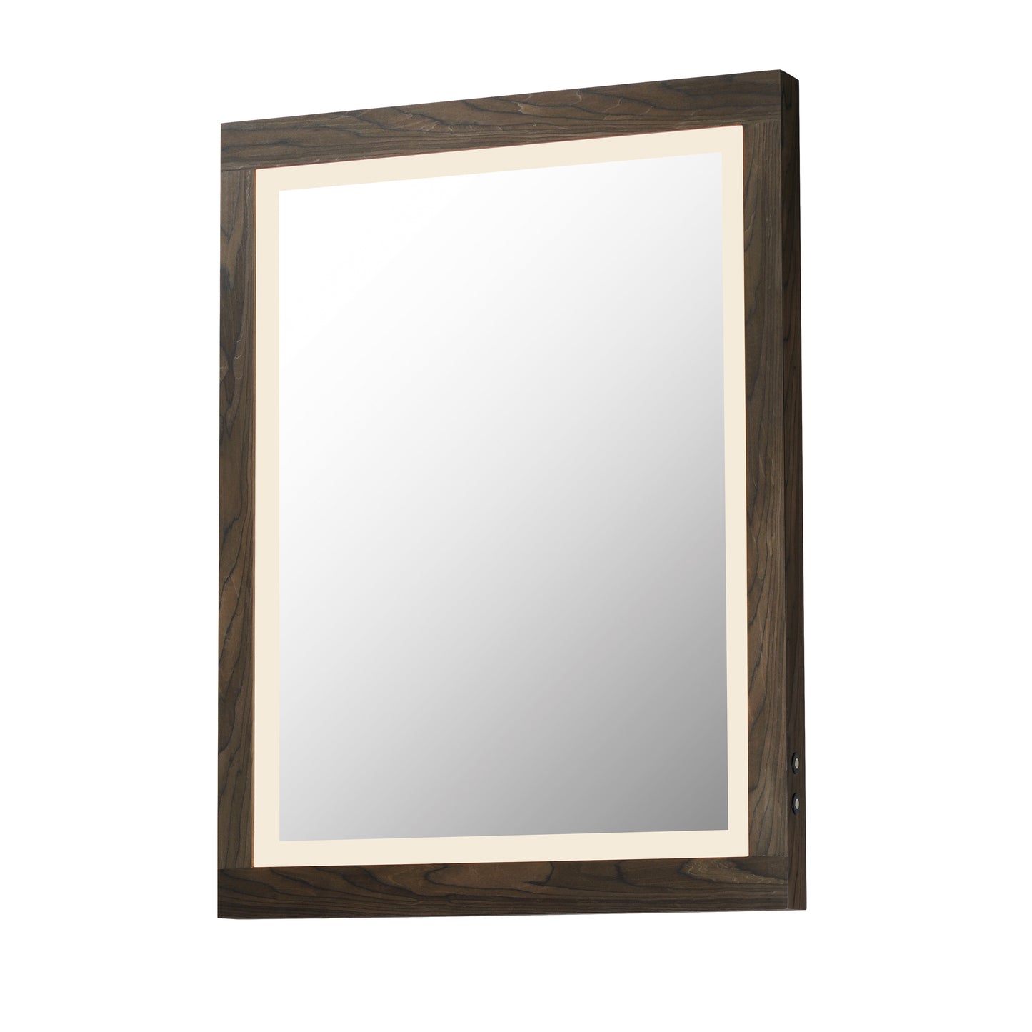Sawyer 24"x32" Walnut Framed LED Mirror Walnut by ET2