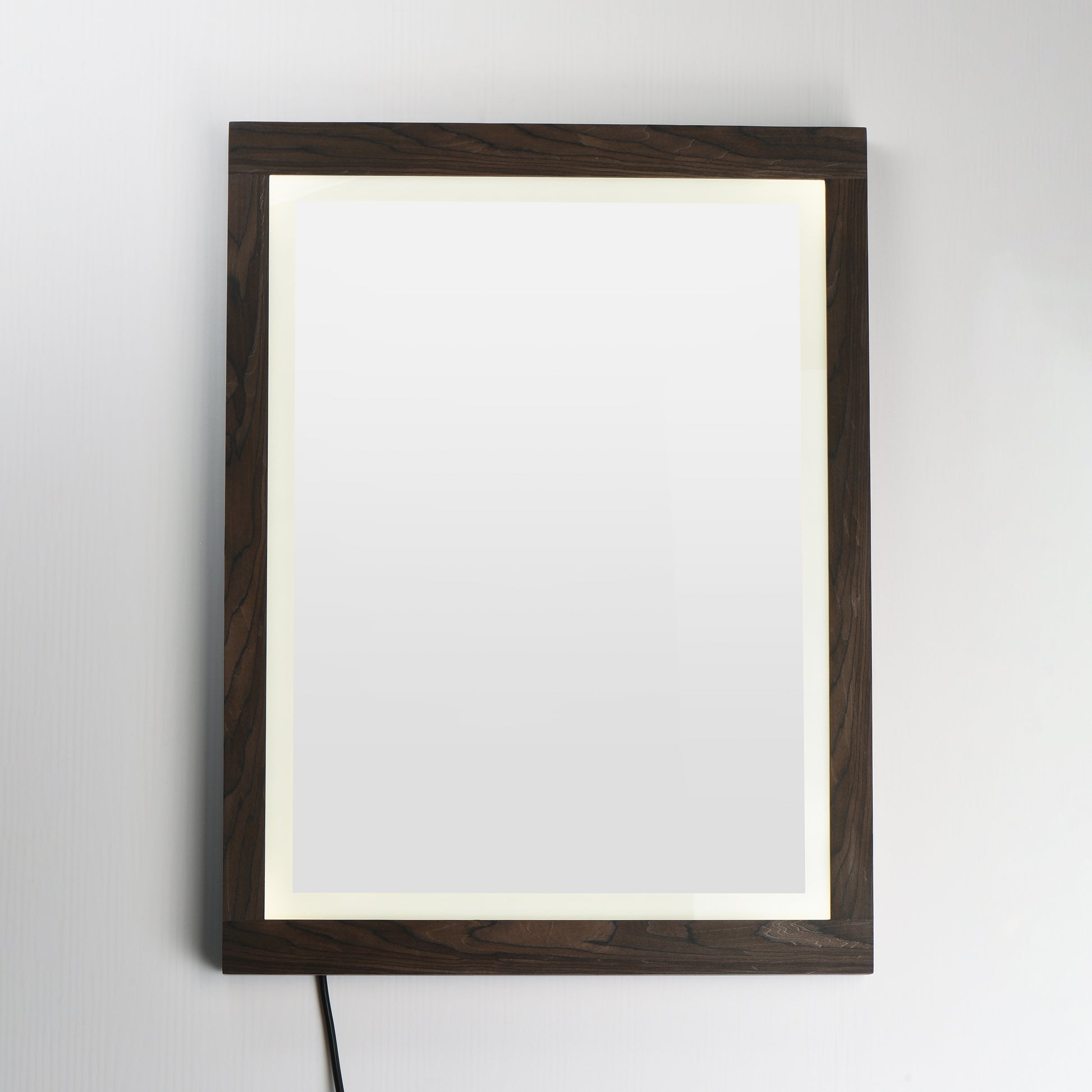 Sawyer 24"x32" Walnut Framed LED Mirror Walnut by ET2