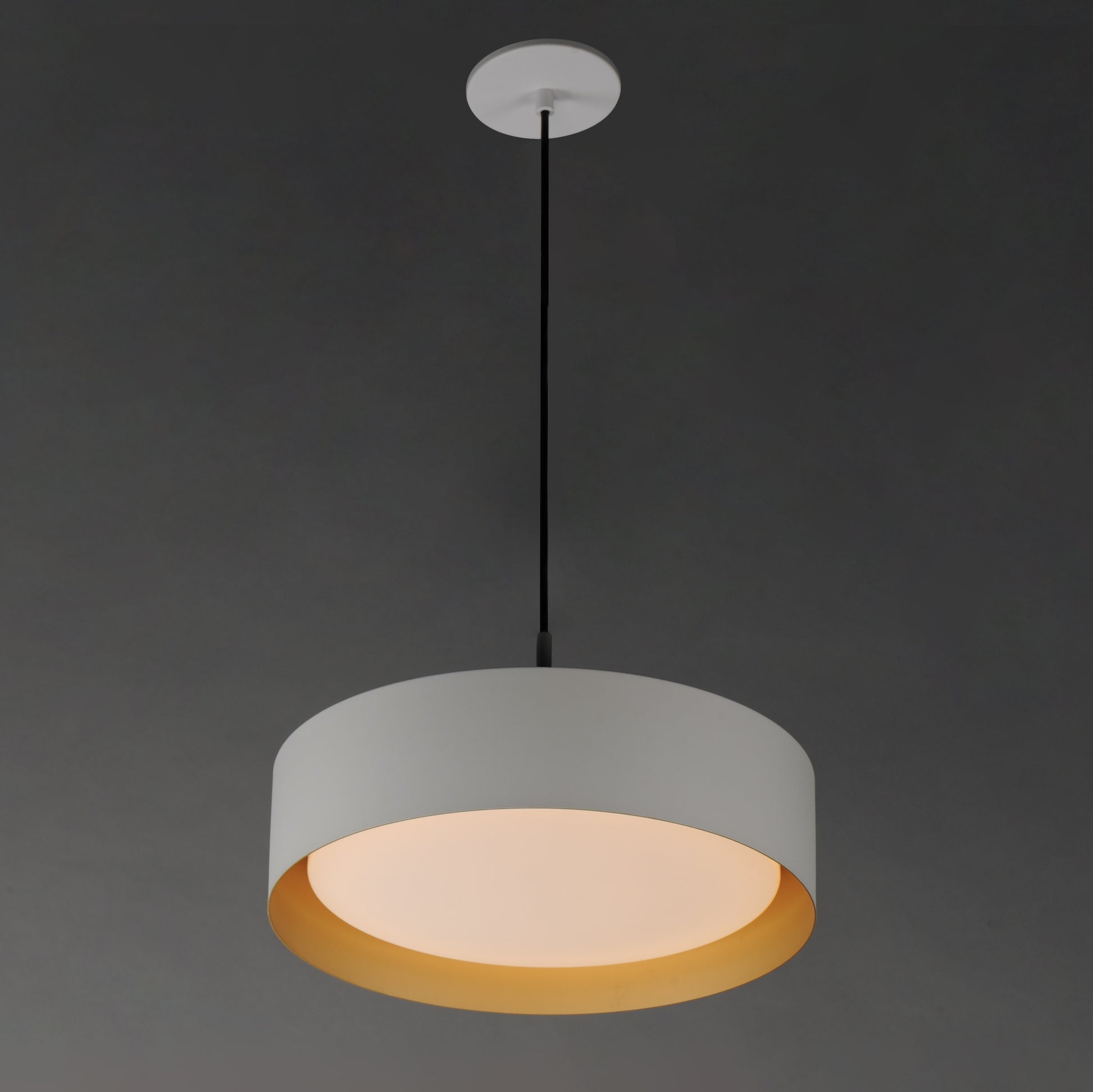 Echo 16" LED Pendant White/Gold by ET2