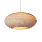 Disc Handcrafted Pendant Lamp By Graypants