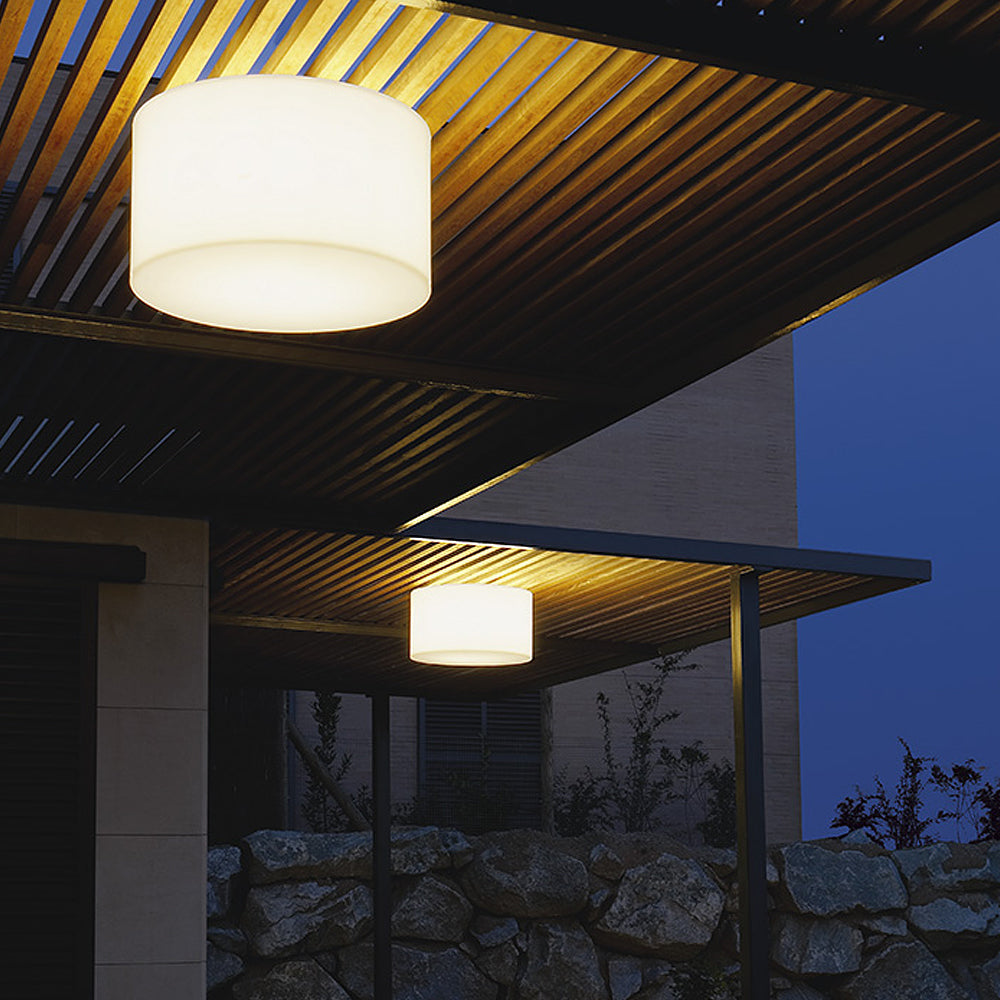 Carpyen Lighting Harry Outdoor Ceiling Light